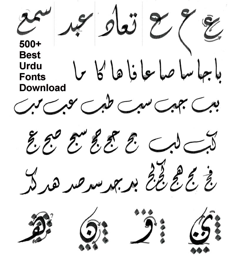 best digital calligraphy software
